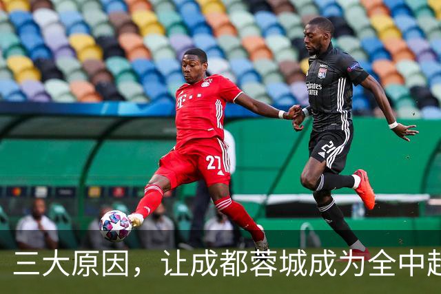 三大原因，让成都蓉城成为全中超公敌，球迷不愿看到他们夺冠
