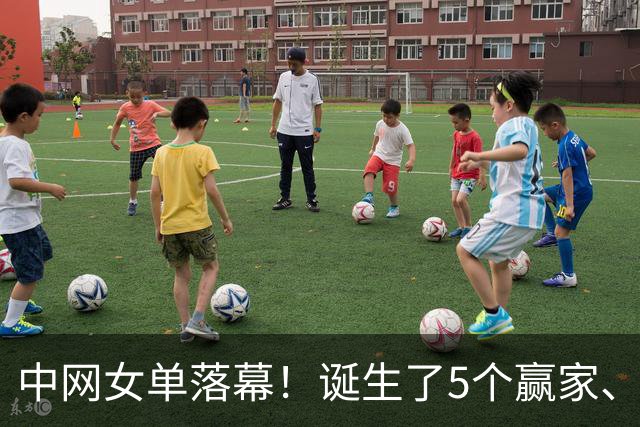 中网女单落幕！诞生了5个赢家、4个输家，郑钦文、孙心然位列其中