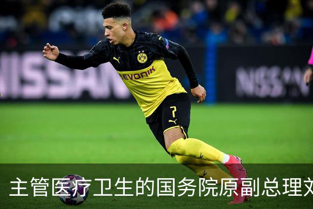 主管医疗卫生的国务院原副总理刘延东逝世