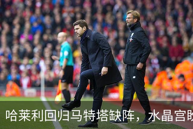 哈莱利回归马特塔缺阵，水晶宫盼反超森林再战里昂