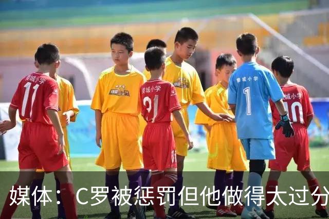 媒体：C罗被惩罚但他做得太过分！外界对他复出并不看好！