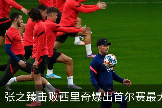 张之臻击败西里奇爆出首尔赛最大冷门，德约披露出战巴塞尔原因