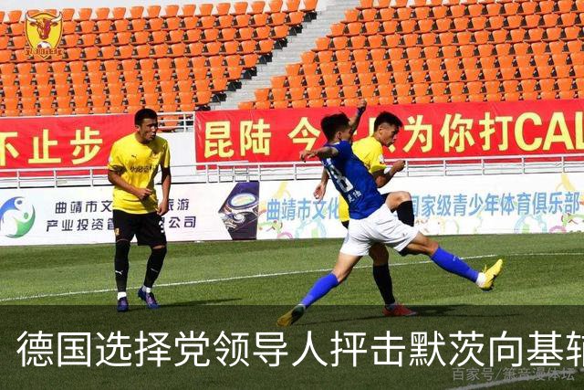 德国选择党领导人抨击默茨向基辅提供新援助：他现在完全失去理智