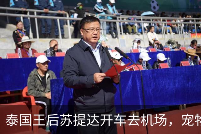 泰国王后苏提达开车去机场，宠物狗狗坐在副驾驶，像个贴心的旅伴