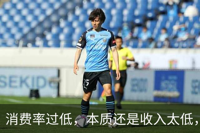 消费率过低，本质还是收入太低，提高分配收入才是重点