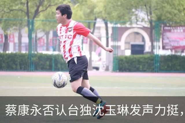 蔡康永否认台独沈玉琳发声力挺，曝其财富自由够普通人花两三辈子